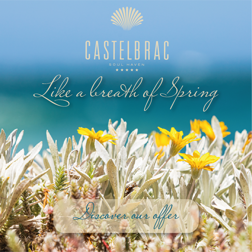 spring-popup-image